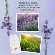 Lar Herbal Alüminyumsuz Alkolsüz Parabensiz Vegan Çiçeksi Kokulu Roll-on Deodorant 3lü Avantajlı Paket 50ml