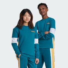 adidas CREW Unisex Çocuk   Sweatshirt IW6013