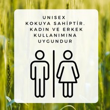 Lar Herbal Parabensiz Keratin, Kolajen ve Biotin İçeren Onarıcı Dolgunlaştırıcı Şampuan(350ml&Onarıcı Saç Kremi(350 ml) 2li  Avantajlı Saç Bakım Seti