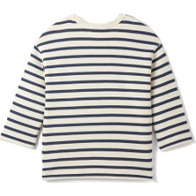 Petit Coral Çizgili Örme Basic