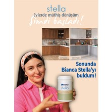 Stella Boya Seti (Bianca Stella Boya- Ipek Fırça- Kadife Rulo- Boya Kabı) – Kesekağıdı