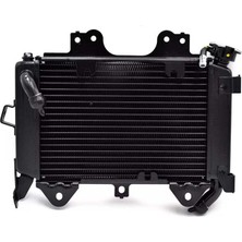 Moto Express Bajaj Pulsar NS200 2014-2024 Boş Radyatör A