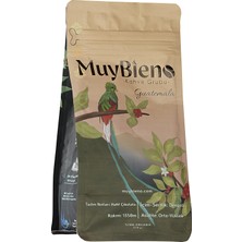 Muybieno Guatemala Huehuetenango Çekirdek Kahve