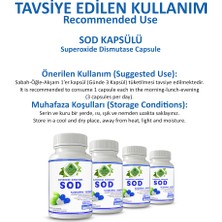 Sod Kapsül (SUPEROXİDE DİSMUTASE CAPSULE)