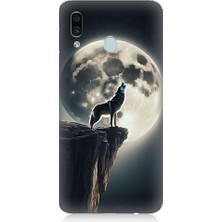 Teknomeg Samsung Galaxy A30 Uyumlu Kurt ve Ay  Desenli Silikon Kılıf
