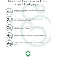 Bistil Bistyle Organik Dikişsiz 3lü Fox Penye Soket Bebek Çorap 0-3 Ay