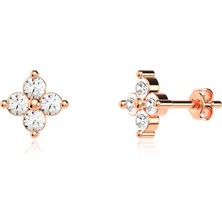 İndigo Takı Defne Tohum Rose Gümüş Küpe