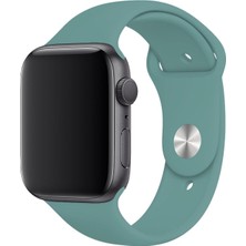 PSGT Apple Watch Seri 1/2/3/4/5/6/7/8/se/ultra 42MM 44MM 45MM 49MM Kordon Kayış Bileklik Klasik Kaliteli Silikon