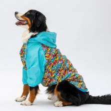 Pawstar Hollywood Polarlı Su Geçirmez Orta Büyük Irk Köpek Yağmurluğu