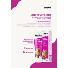 Petfor Multi Vitamin Paste 100 gr