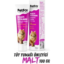 Petfor Multi Vitamin Paste 100 gr