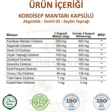 Gökçek Şifa Kordisep Kapsül (CORDYCEPS CAPSULE)