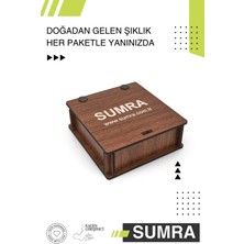 Sumra Apatit ve Kaplan Gözü Hematit Doğal Taş Bileklik SM-B-0263