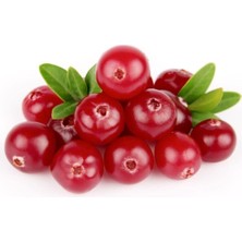 Tohumcumm Cranberry Tohumu Turna Yemişi Tohumu 5 Adet Tohum