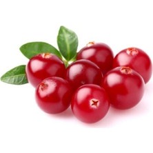 Tohumcumm Cranberry Tohumu Turna Yemişi Tohumu 5 Adet Tohum