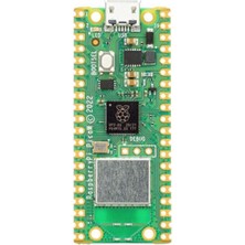 Sanec Raspberry Pi Pico W