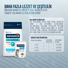 Advance Hindili Yavru Kedi Pouch Yaş Maması 85 gr x 12 Adet