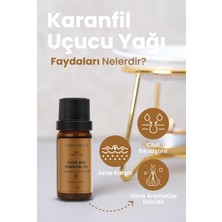 Bade Natural Karanfil Uçucu Yağı %100 Saf 10 ml