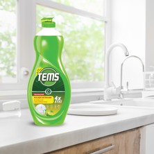 Tems Bulaşık Deterjanı 500 ml