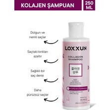 Loxxun Kolajen Şampuan