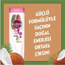 Elidor Hindistan Cevizi Yağı Şampuan 350 ml + Saç Kremi 350 ml