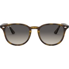 Rayban 4259 710/11 51 Güneş Gözlüğü
