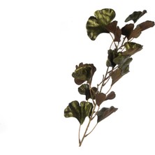 Mikasa Moor Ginko Yeşil Yapay Çiçek 81cm