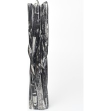 Safnaturel Belemnit Doğal Taş Fosil