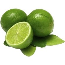 Limon Fidanı Misket Citrus aurantifolia Lime Misket Limon, 80-100 cm