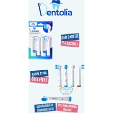 Dentolia Oral-B Uyumlu Şarjlı Ve Pilli Diş Fırçası Yedek Başlığı 4 Adet Deep Clean