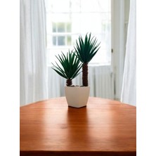 Dekoratif Saksıda Aloe Vera Yapay Bitki