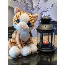 Top Rock Store Krem Peluş Kedi 28CM