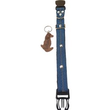 Balkonda Köpek boyun tasması kot Lacivert zımbalı genişlik:2,5cm boyun ölçüsü:27-35cm ayarlamalı dog collar T4-5S