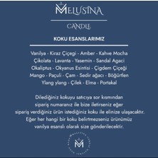 Melusina Candle 3'lü Dekoratif Taş Desenli Beton Kapaklı Model Mumluk ve Kokulu Vegan Soya Wax Mumu