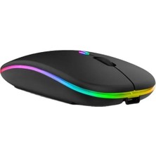 Sprange Sr-M1 Wireless Şarjlı Kablosuz Mouse Type-C Rgb