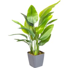 Tekno Trust Saksıda Yapay Ağaç Starliçe Gerçek Dokulu 15 Yaprak Yeşil 63 Cm.