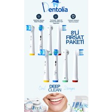 Dentolia Oral-B Uyumlu Şarjlı Ve Pilli Diş Fırçası Yedek Başlığı 8 Adet