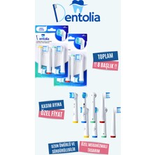 Dentolia Oral-B Uyumlu Şarjlı Ve Pilli Diş Fırçası Yedek Başlığı 8 Adet