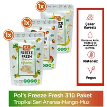 Pol's Freeze Fresh Tropikal Seri Ananas 20 G, Mango 20 G, Muz 20 G Freeze Dry Dondurularak Kurutulmuş Meyve