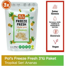 Pol's Freeze Fresh Ananas 20 G x 3 Adet Freeze Dry Dondurularak Kurutulmuş Meyve