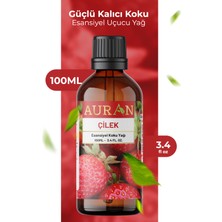 Çilek Esansiyel Uçucu Koku Yağı Difüzör Esansı Buhurdanlık Yağı Aromaterapi Yağı 100ml