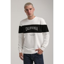 New World Polo Bisiklet Yaka Ekru Slim Fit Sweatshirt 24FWM60203
