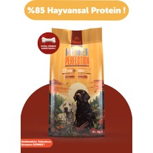 Pawgo Premier Perfection 15 Kg | Kuzu Etli | Yetişkin Köpek Maması