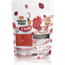 Pol's Freeze Fresh Kukuli Çilek 15 g x 7 Adet Freeze Dry Dondurularak Kurutulmuş Meyve