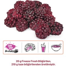 Pol’s Freeze Fresh Çilek 15 g x 1 Adet, Vişne 25 g x 1 Adet , Böğürtlen 20 g x 1 Adet Freeze Dry Dondurularak Kurutulmuş Meyve