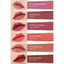 Yumuşak Dokulu, Hafif Mat Görünüm Sunan Ruj CLIO Chiffon Mood Lip (10 Fig Millefeuille)