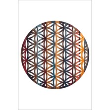 UNT Yaşam Çiçeği, Sri Yantra, Torus ve Yin Yang 4'lü Set Duvar Tablosu