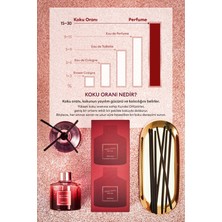 Holiday Serisi Parfüm Difüzörü KUNDAL Perfume Diffuser Holiday Edition 200ml 2Adet (Rose Wood)