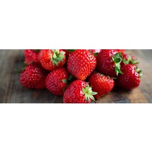 Ucuzluk Diyarı 25 Adet Fortuna Çilek Fidesi Açık Kök Yeni Sezon