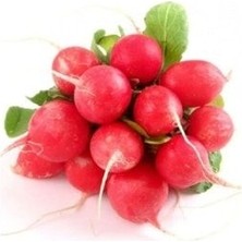 Fındık Turp Tohumu